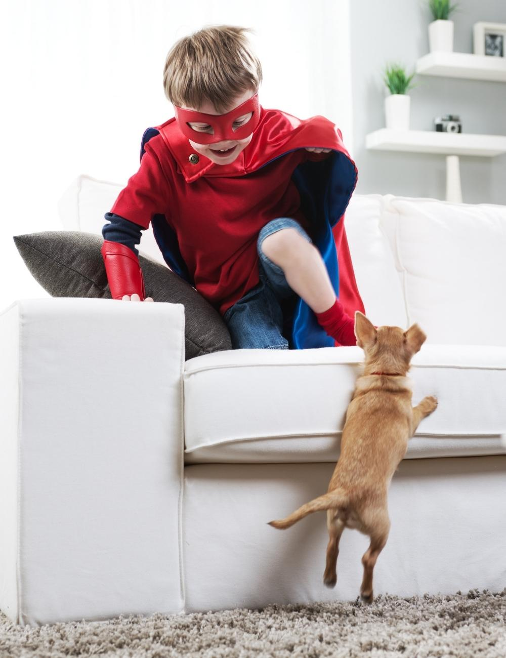 boy dressed in a super hero costume on a white sofa with a small dog jumping up onto cushions