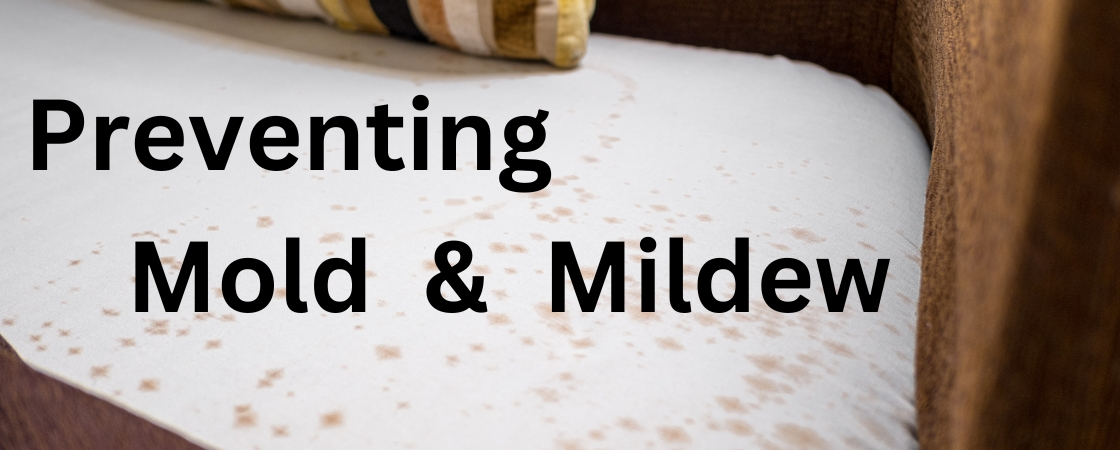 Preventing-mold-and-mildew