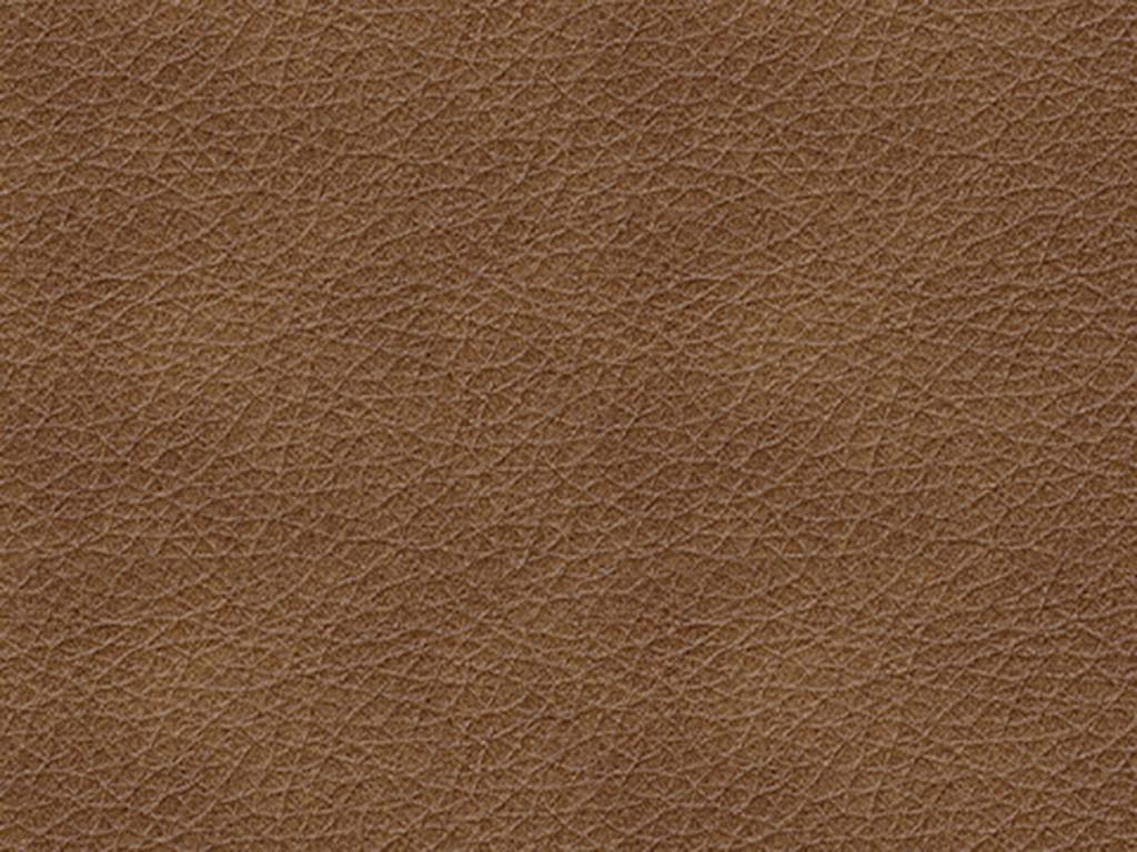 Bolsena Caramel Leather Loveseat by Signature Design by Ashley 5560335