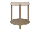 Trilogy Toffee Stone Top End Table