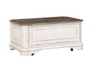 Magnolia Manor White Storage Trunk 