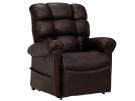 Vega Cozy Coffee Bean Power Lift Chair Recliner