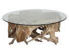 Center Root Glass Top Cocktail Table